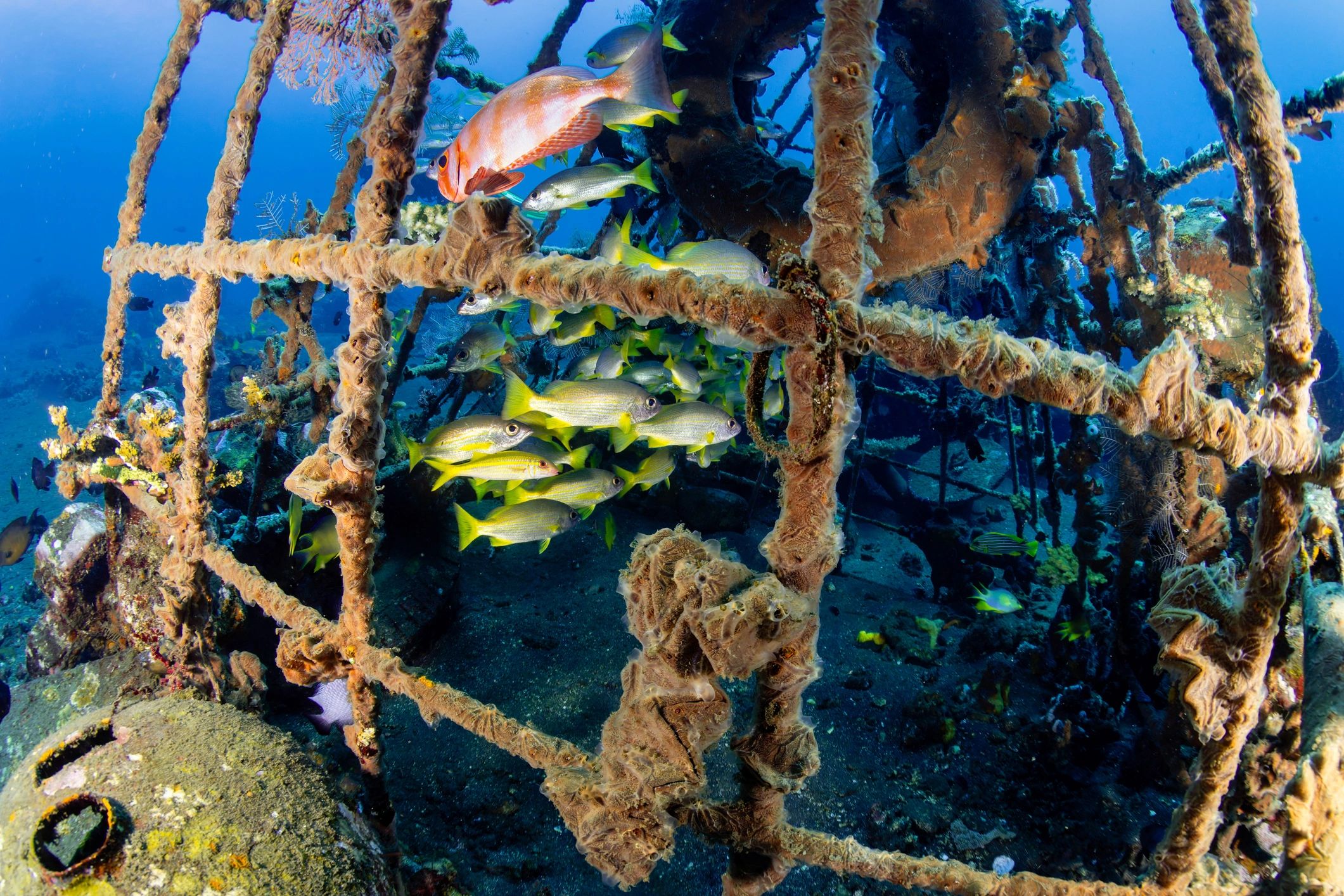 Underwater industrial environment representing robotic inspection services